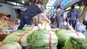 김장철 배추 가격 잡는다…농식품부 “이달 하순 내림세 체감할 것”