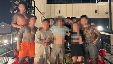 ‘MZ조폭’이 대부분…해마다 조직폭력배 검거 인원 늘었다