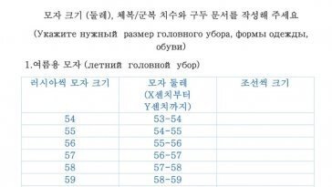 “조선식 치수 쓰세요”…러시아, 北 파병 군인에 한글 설문지 준비