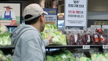 4인 가족 김치 담그면 ‘42만원’…‘金배추·金무’ 탓 1년새 20%↑