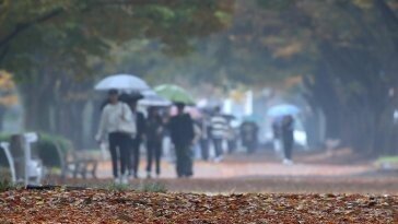 태풍 콩레이 영향, 제주에 호우특보…다음주엔 영하권 한파