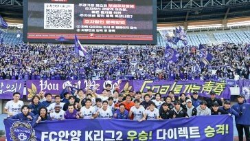 FC안양 1부 리그 간다… 창단 첫 K리그2 우승, 다이렉트 승격