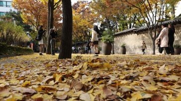 오늘 찬바람 불고 기온 뚝… 출근길 단단히 채비하세요