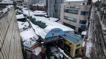 일반눈 무게 3배인 ‘습설’… 전국 곳곳 지붕 등 붕괴 5명 사망