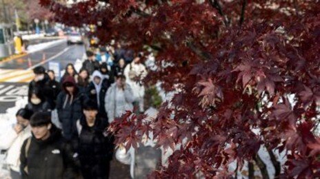 6일부터 의대 수시합격 발표…의정갈등 해결 더 어려워져