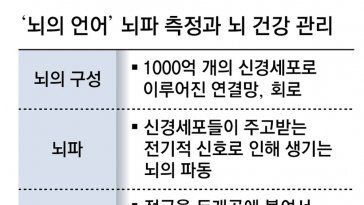 뇌파는 1000억개 신경세포의 신호… 정밀측정 통한 뇌질환 치료 기대[이진형의 뇌, 우리 속의 우주]