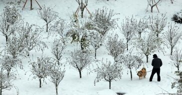 9월 폭염-11월 폭설…“겨울철 이상기후도 대비”