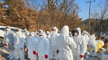 김제 산란계 농장서 15번째 고병원성 AI…36시간 전국 이동중지