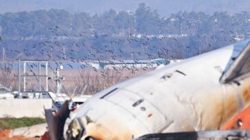 무안공항, 참사 47일 전에도 조류 충돌로 긴급 회항