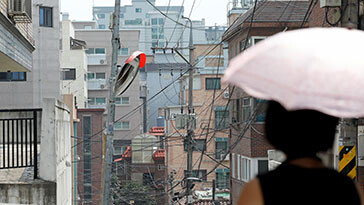 전세사기, 지방선 급증… ‘보증금 권리 확보’ 신청 역대 최대