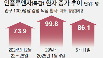 “설연휴 독감환자, 호흡기 전담병원으로”