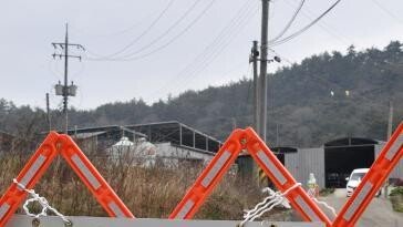 ‘청정지역’ 전남서도 구제역 발생… 소 334마리 살처분