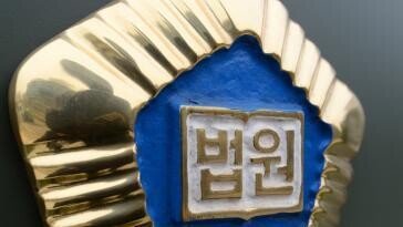 손녀 베개 눌러 살해한 정신질환 50대 여성 2심도 징역 6년