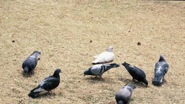 7월부터 서울서 ‘이 행동’ 하지마세요…과태료 최대 100만원