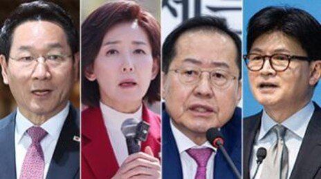 나경원 “尹 파는건 안좋아”, 홍준표 “자중해야”…반탄파도 ‘거리두기’