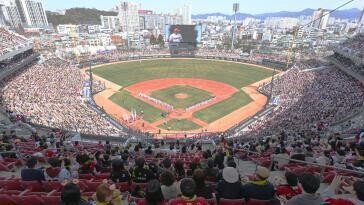 야구장서 앞좌석 여성 다리 ‘찰칵’…광주 70대 경찰 조사