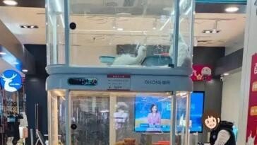 음료수 뽑듯 고양이 구매…中 ‘반려동물 자판기’ 논란