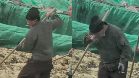 배추 수 천 포기 절이다 침 뱉곤 발로 쓱쓱… 중국 공장영상 일파만파