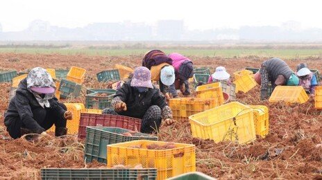 [날씨]낮부터 더 추워진다…강한 바람에 안전사고 유의
