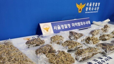 “샴푸병 속 대마 200ml” 해군 상병 구속…군 내부 관리 부실 논란