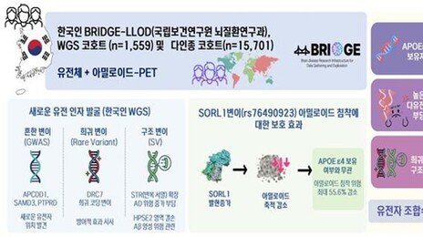 한국인 맞춤 치매 치료법 나오나…새로운 유전 요인 규명