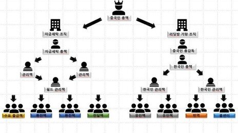캄보디아 거점 리딩방 사기조직 54명 검거…피해 규모 190억원