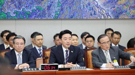 野 “年200억달러 투자 아닌 송금” 김용범 “회수 못할 투자 안해”