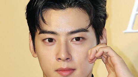 ‘100억은 벌금 성격’ 차은우 200억 추징, 변호사가 본 탈세의 경계선