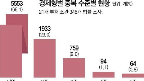 “경제형벌 3건중 1건 중복 제재… 5중 처벌까지”