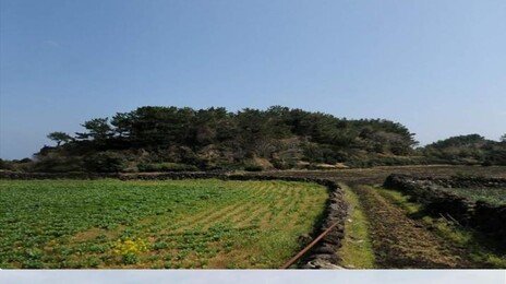땅값 욕심에 제주 산림·토지 무차별 훼손 60대 구속