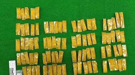 ‘조선족 필로폰 유통망’ 122명 검거…수도권서 3000여회 ‘던지기’