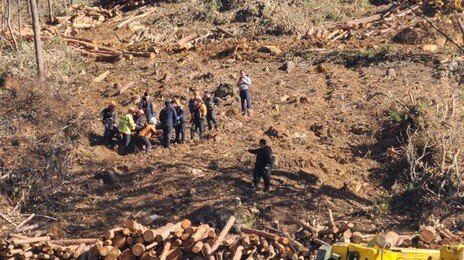 영월 야산서 벌목용 궤도차량 60m 아래 추락…운전자 숨져