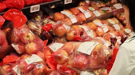 이달 사과 도매가 작년보다 5% 오를듯…배는 32% 하락