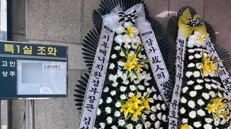 “업어 키운 동생, 생존 기대했는데… 소방관과 함께 울었다”