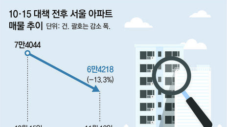 ‘최대 대출 가능’ 9억이하 아파트로… 노원-성북-강서 거래 몰려
