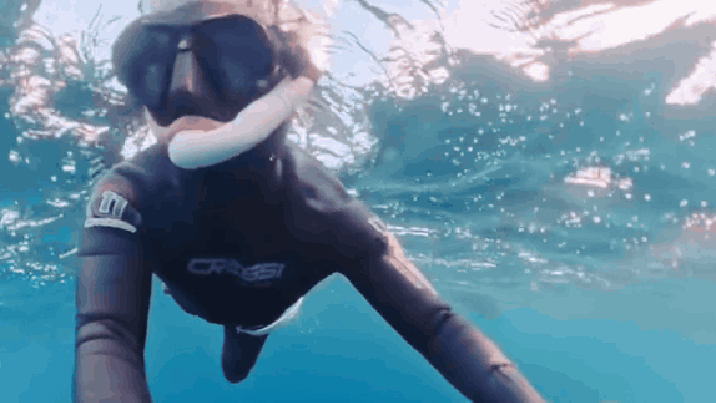 “진짜 잡아먹히는 줄”…혹등고래 맞닥뜨린 다이버의 아찔한 순간