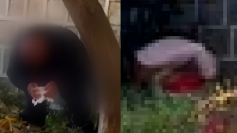 中 관광객 경복궁 돌담 아래서 용변…“문화 테러 수준”