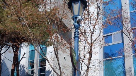 마라톤 연습중 교통사고 60대, 장기기증으로 5명 살리고 떠나