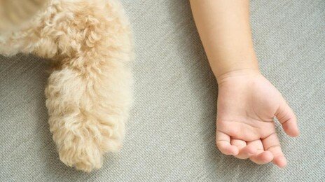 숙박업소서 낳은 아기 방치·시신 유기 커플…징역 7년