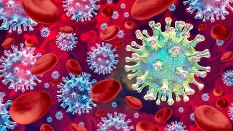 ‘변신의 귀재’ H3N2 바이러스 확산… 올겨울 센 독감 온다