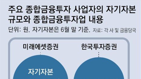 ‘한국판 골드만 삭스’ 시동… 원금보장 고수익 상품 연내 나올듯