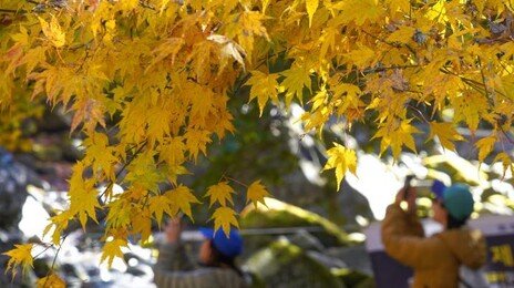 주말 일교차 15도 안팎…16일 오후 비 내리고 17일부터 한파