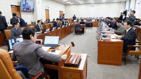 관세 MOU 국회 비준, 미국도 일본도 안 하는데…[사설]