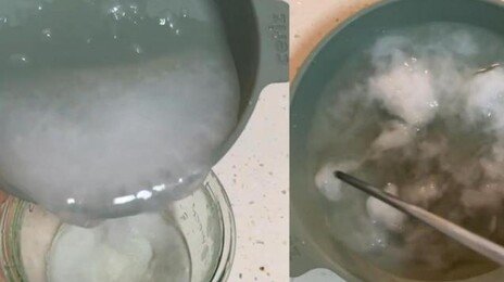 비데 물티슈, 정말 변기서 녹을까?…SNS 300만 회 실험 화제[e글e글]