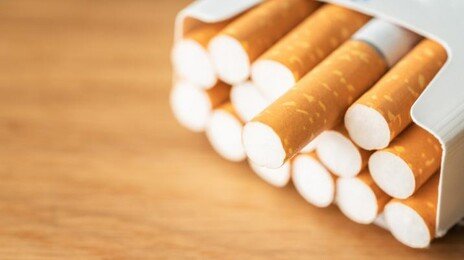 담배 하루 2개비도 사망 위험 60%↑…한 갑 피우면 2배 넘어