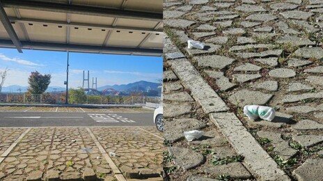“차만 깨끗하면 OK?”…사천 케이블카 주차장서 ‘기저귀 투기’ 논란