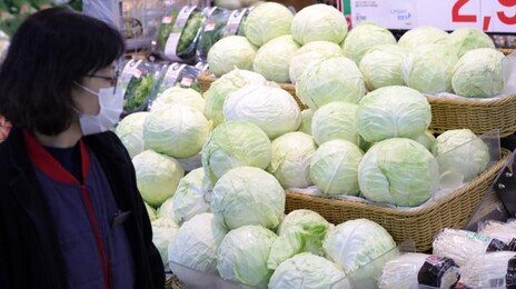 “양상추 주문할 때마다 손이 떨린다”…자영업자들 비명