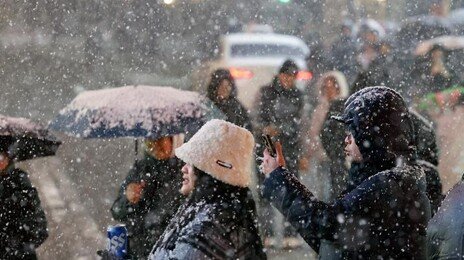 폭설로 여객선 8척·항공기 11편 결항···전국 대설특보 해제