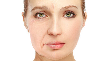 “노쇠 수컷 쥐 수명 70% 연장”…두 약물 조합, 현대판 ‘불로초’ 될까?