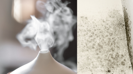 “폐렴 부르는 가습기 습관?”…‘곰팡이’ 포자, 청소·관리법 5가지